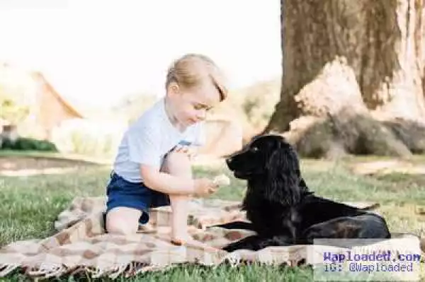 See new photos of Prince George released to mark his 3rd birthday
